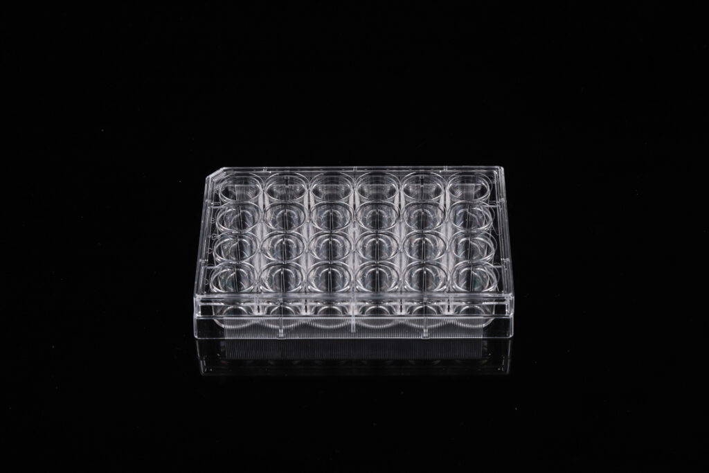 24 Well Glass Bottom Cell Culture Plate,¦ 10mm,TC, sterile 1/pk, 10/cs