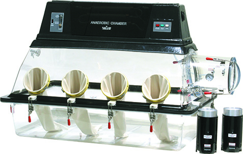 Two Station Controlled Anaerobic Chamber