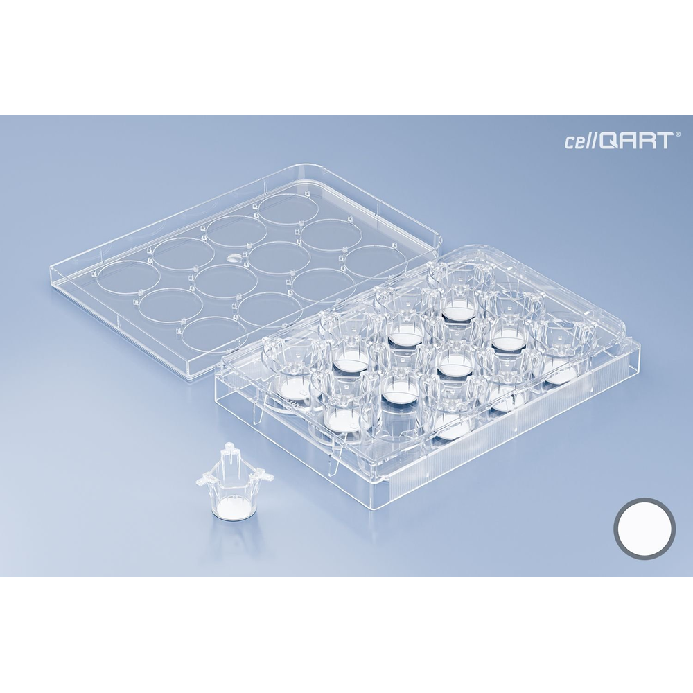 CellQART 12-Well Cell Culture Insert Pre-loaded in Well Plate, PET, 0.4um, Translucent, 4 Well Plates/pk