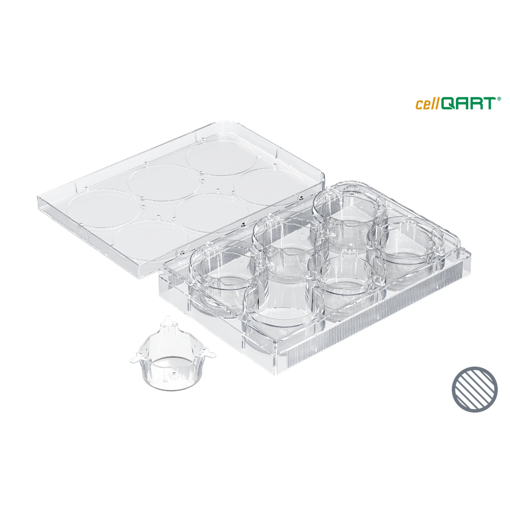 cellQART 12-Well Cell Culture Insert Pre-loaded in Well Plate, PET, 0.4um, Clear extended culture, 4 Well Plates/pk