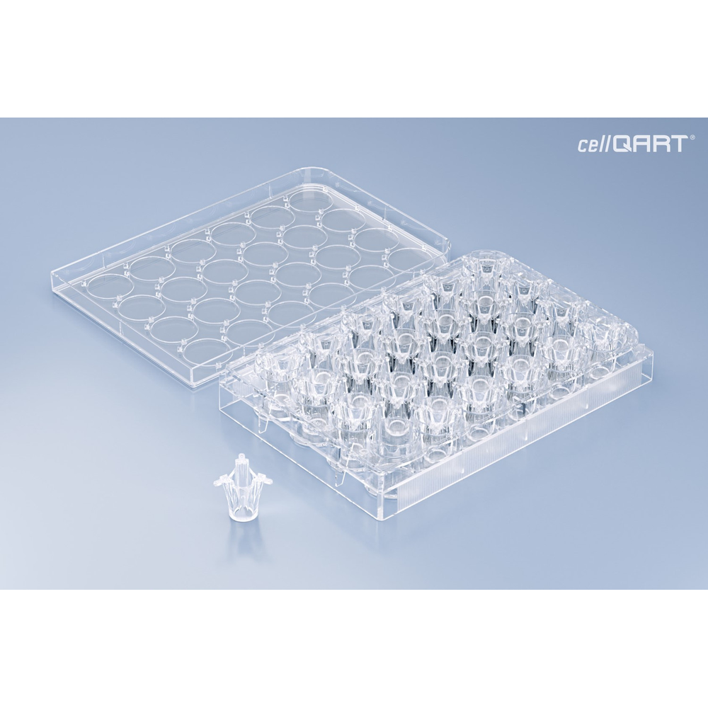 cellQART 24-Well Cell Culture Insert Pre-loaded in Well Plate, PET, 0.4um, Translucent, 4 Well Plates/pk