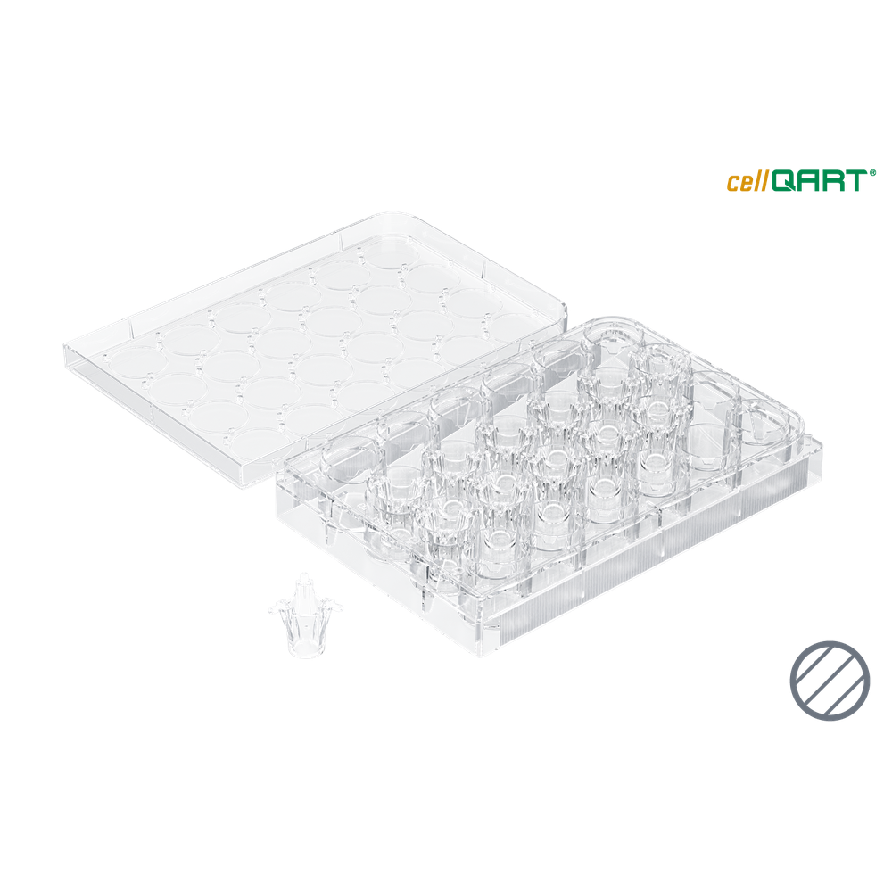 cellQART 24-Well Cell Culture Insert Half Pre-loaded in Well Plate, PET, 0.4um, Clear, 4 Well Plates/pk
