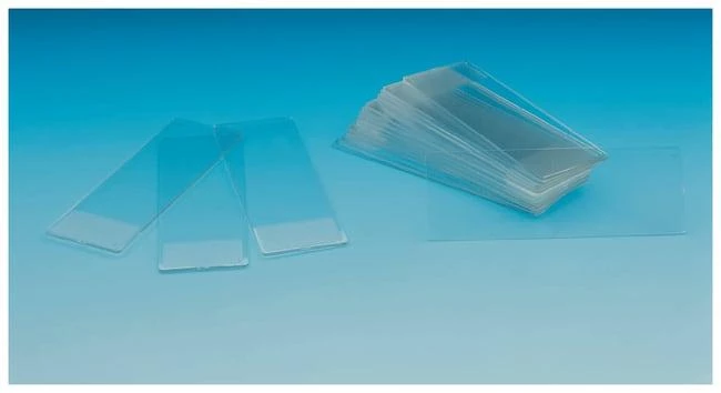 Slide Cell Culture Sterile Polystyrene 25 x 75 mm