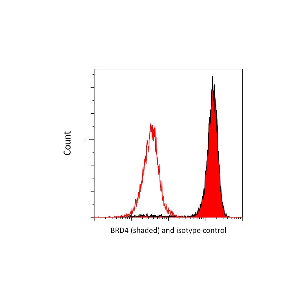Rabbit anti-BRD4 Recombinant Monoclonal Antibody [BL-149-2H5]