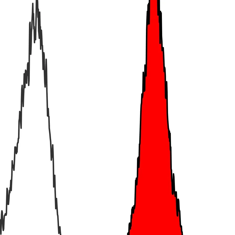 Rabbit anti-SMC1 Recombinant Monoclonal Antibody [BL-205-2G8]