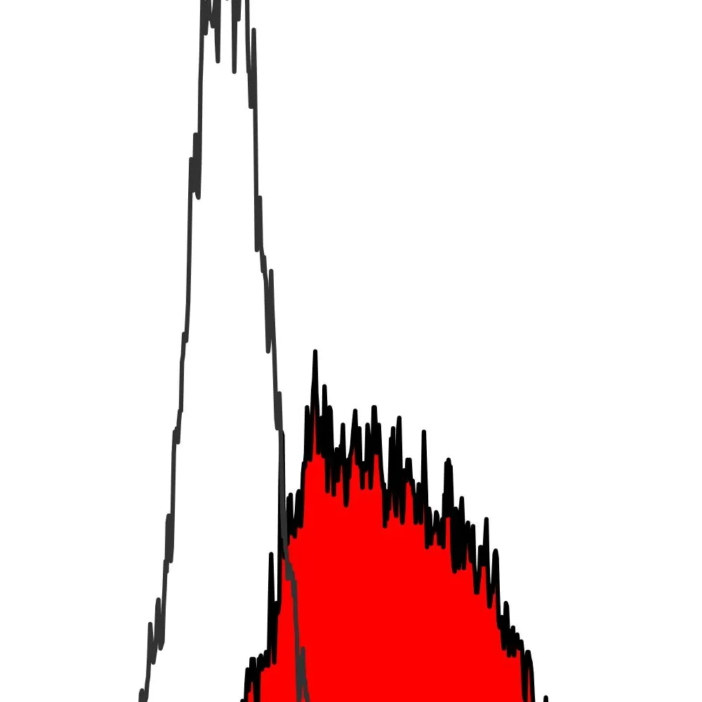 Rabbit anti-PD-L1 Recombinant Monoclonal Antibody [BLR020E]