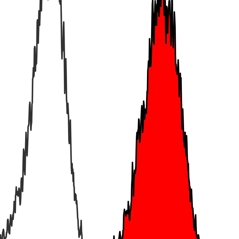 Rabbit anti-USP7/HAUSP Recombinant Monoclonal Antibody [BLR072G]