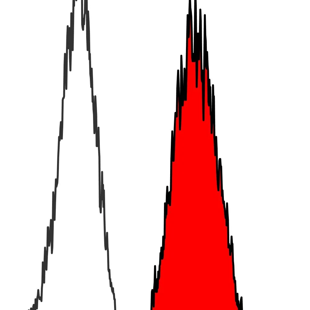 Rabbit anti-Bcl6 Recombinant Monoclonal Antibody [BLR143H]