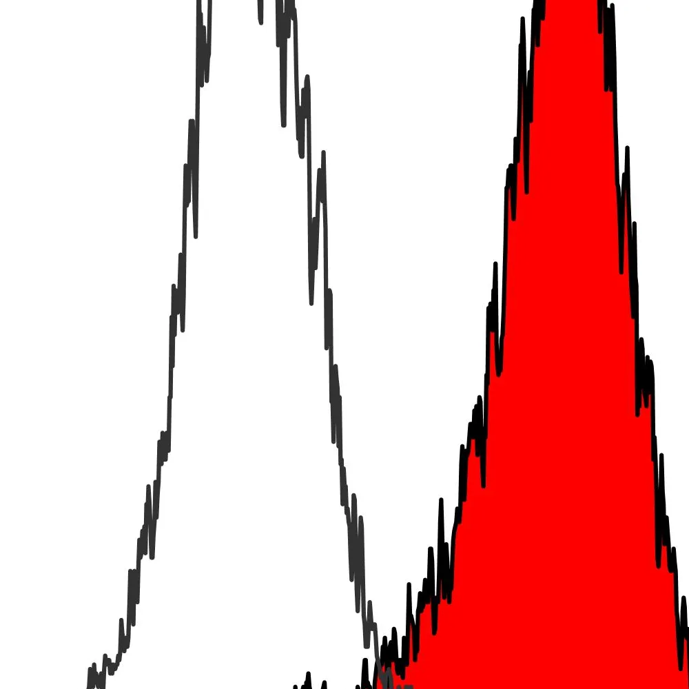 Rabbit anti-EpCAM Recombinant Monoclonal Antibody [BLR192J]