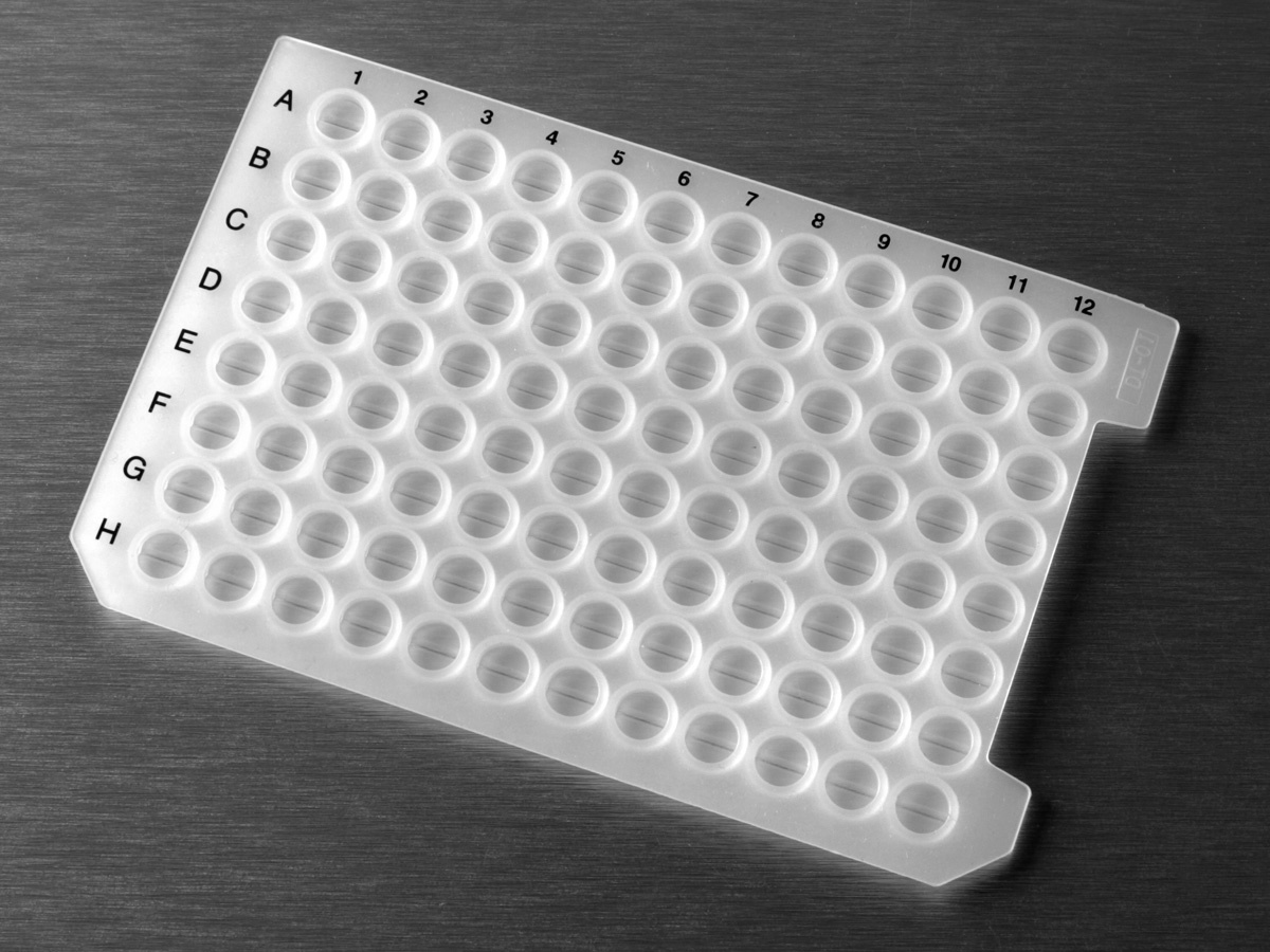 Axygen AxyMats 24 Well Sealing Mat for Deep Well Plates, Nonsterile