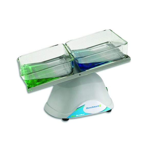 Mini BlotBoy™ 3D Rocker, fixed speed, small 10″x7.5″ platform with flat mat - Mini BlotBoy™ 3D Rocker 230V