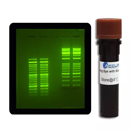 SmartGlow™ Loading Dye with Safe Green Stain, 1.0ml