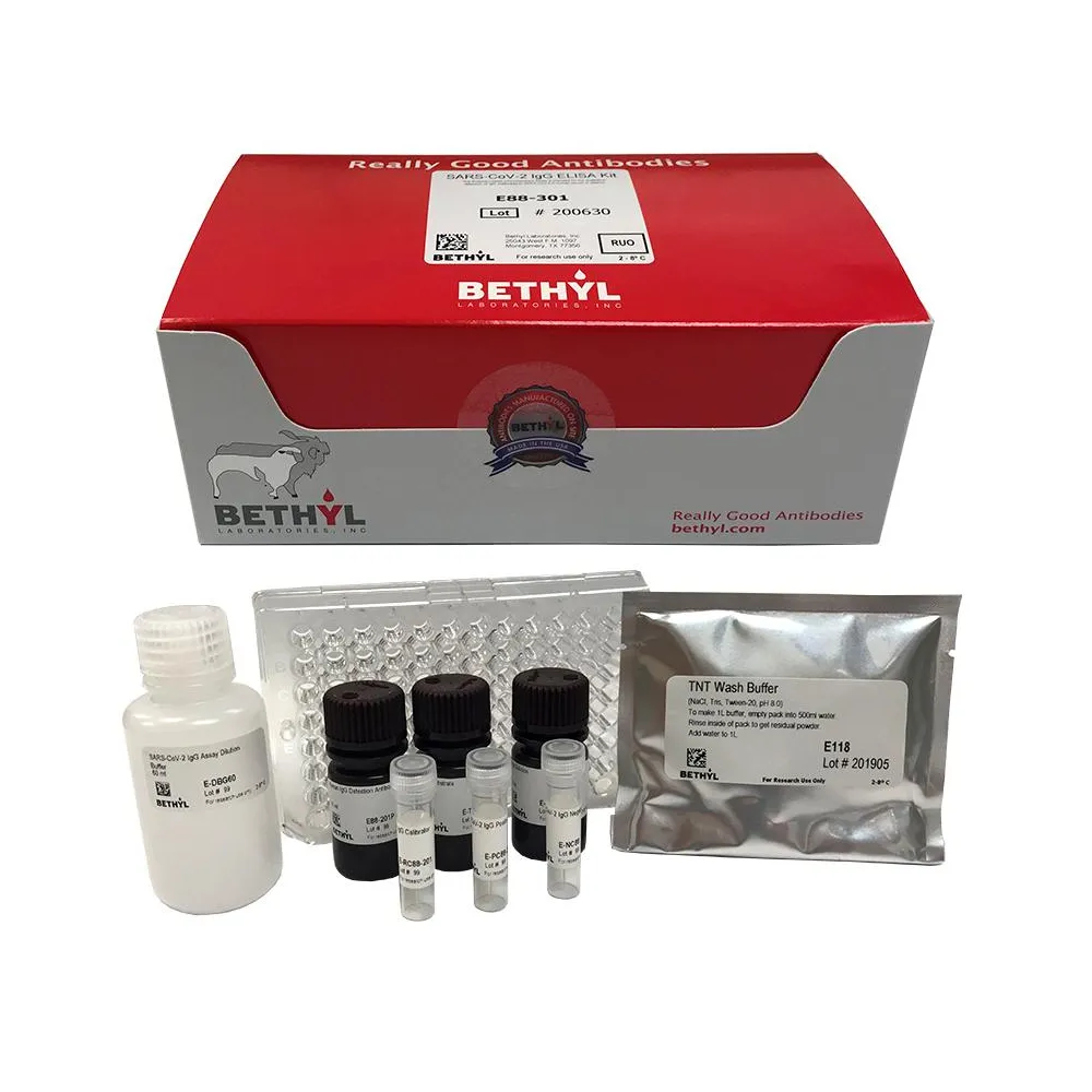 SARS-CoV-2 IgG ELISA Kit (For Research Use Only)
