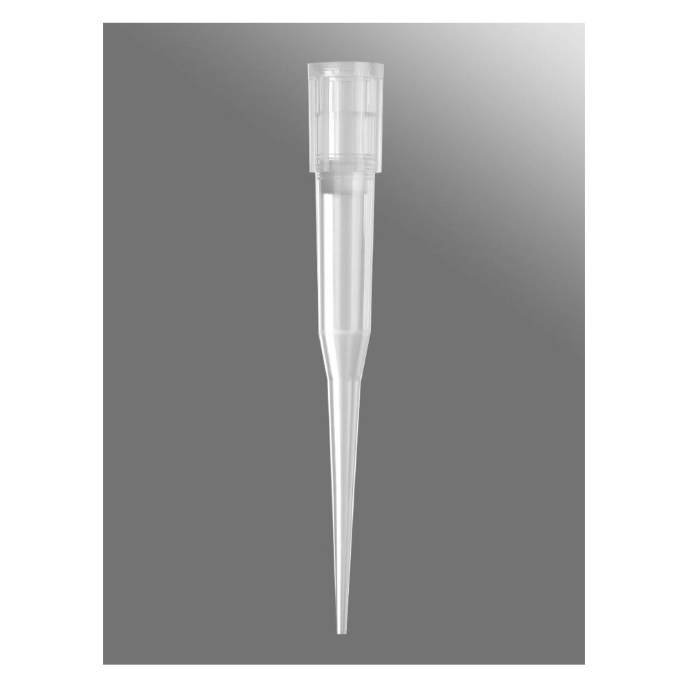 Axygen Automation Tips for Beckman Coulter 200L, Clear, Filtered, Sterile