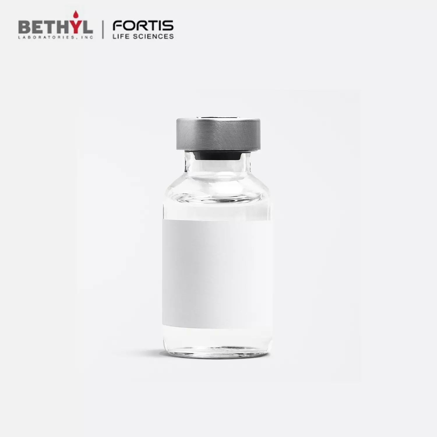 Goat anti-Human Transferrin Antibody