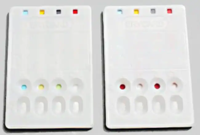 Understanding Blood Type Interactions Refill