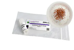 Ap Bio #6 Cellular Respiration -Refill