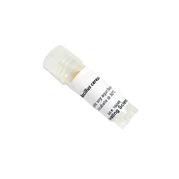 Staphylococcus Epidermidis Freeze Dried W/O Transfer Med