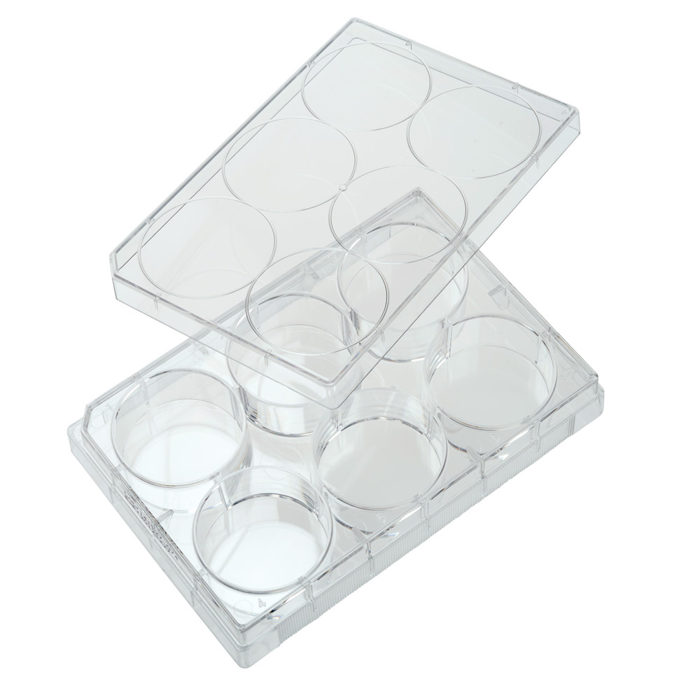 Multiple Well Plates – TCT