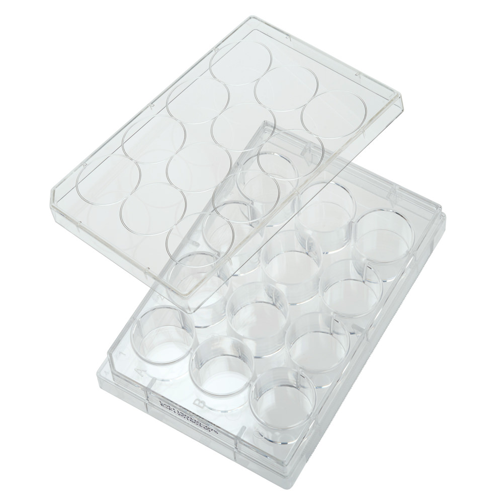 Multiple Well Plates – Non-treated