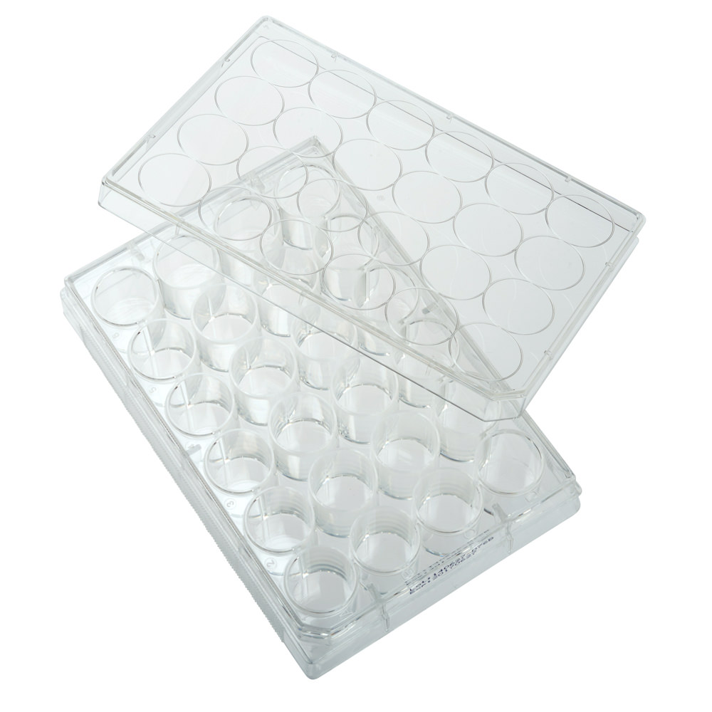 Multiple Well Plates – TCT