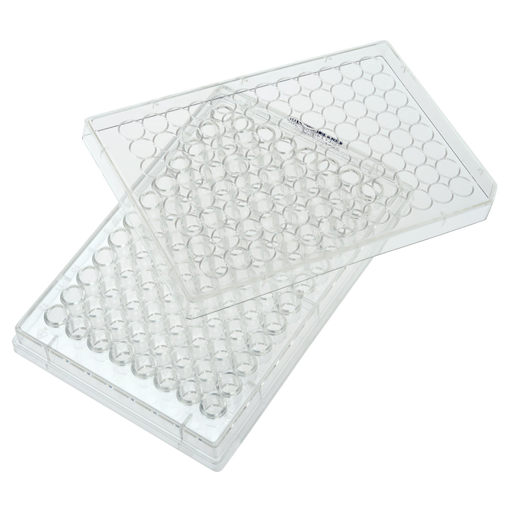 Multiple Well Plates – TCT