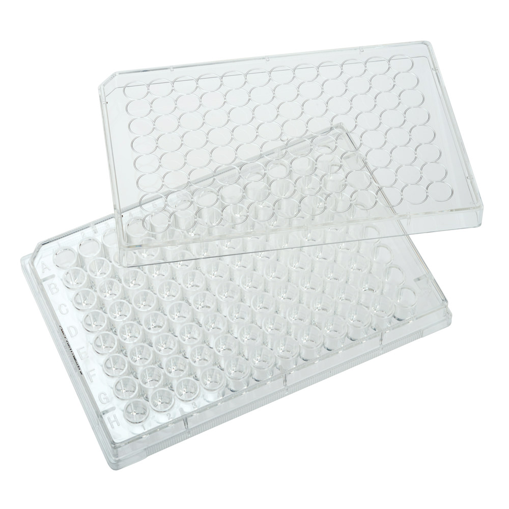 Multiple Well Plates – TCT