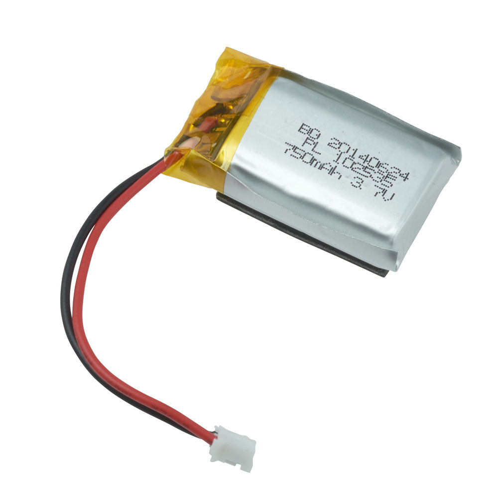 Battery, Replacement, Electric Pipet Controller
