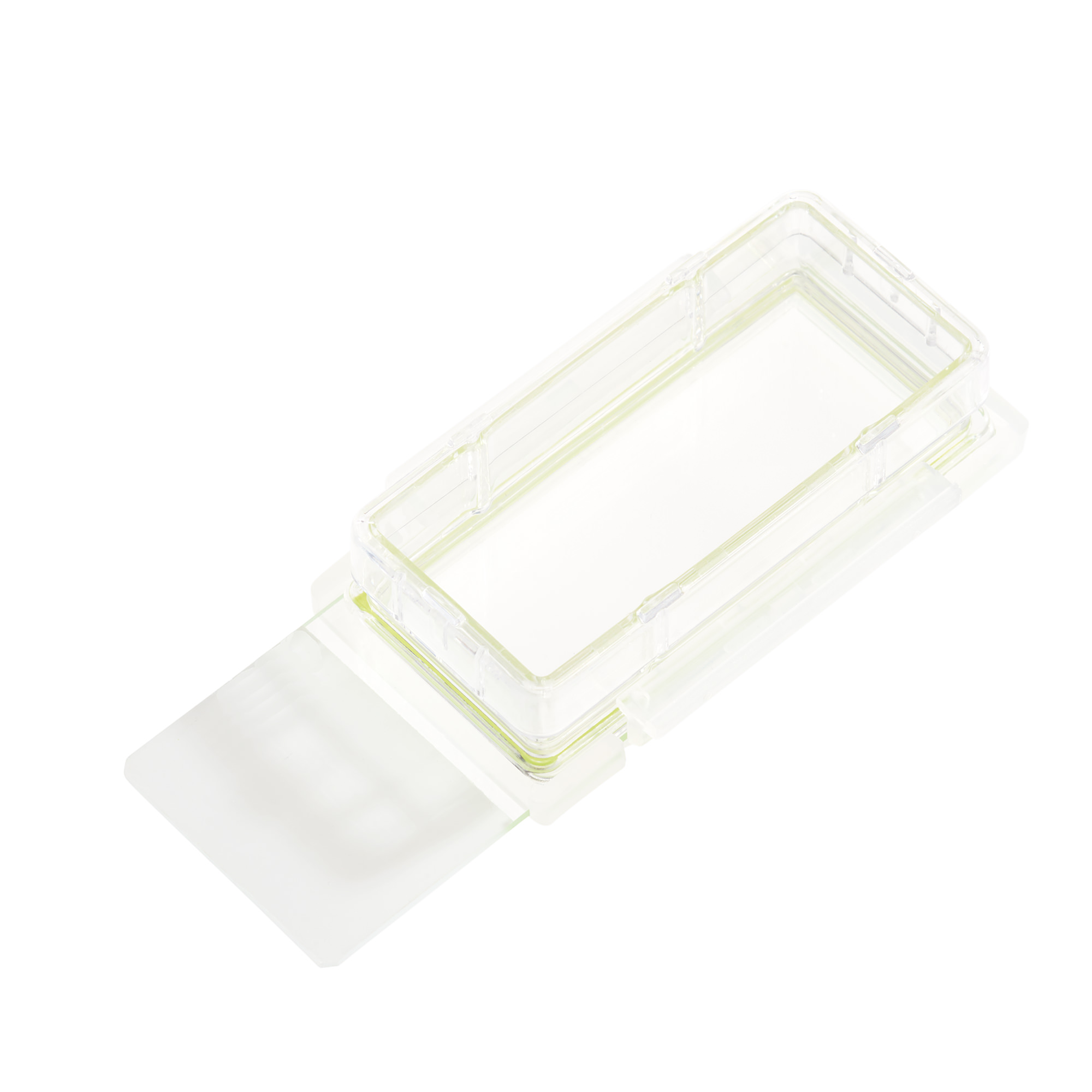 1 Chamber Cell Culture Slide, Glass, Sterile
