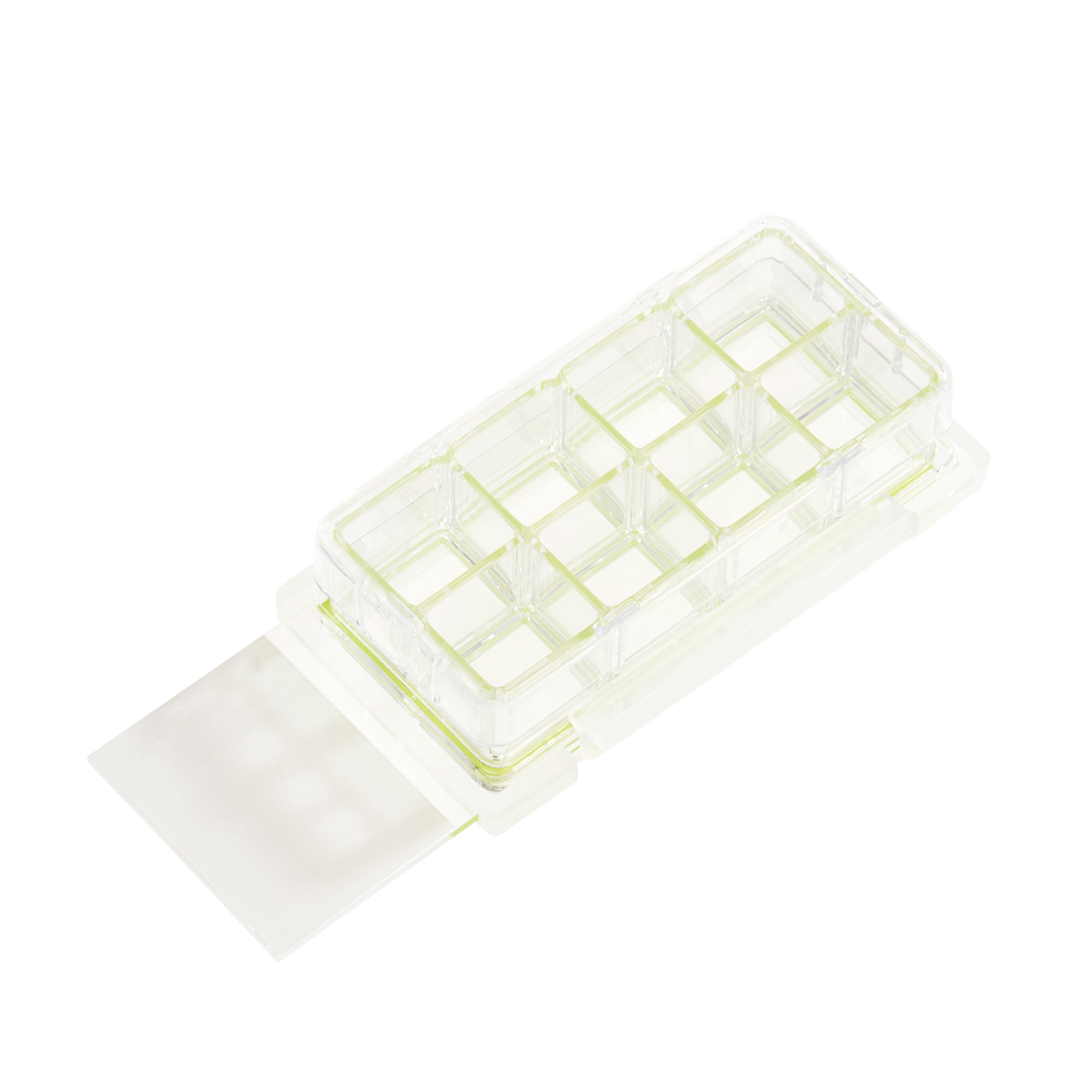 8 Chamber Cell Culture Slide, Glass, Sterile