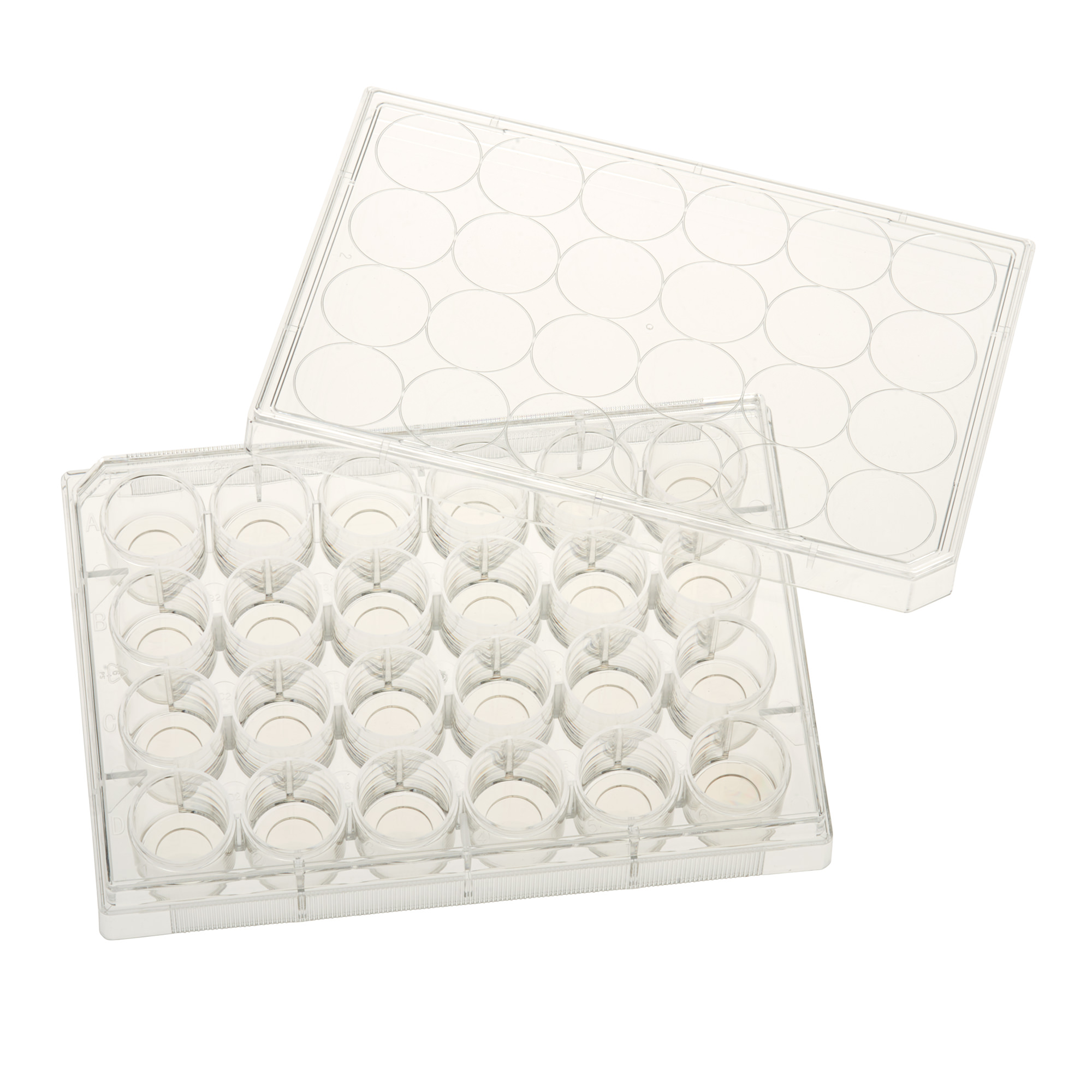 Multiple Well Plates – TCT, Glass Bottom