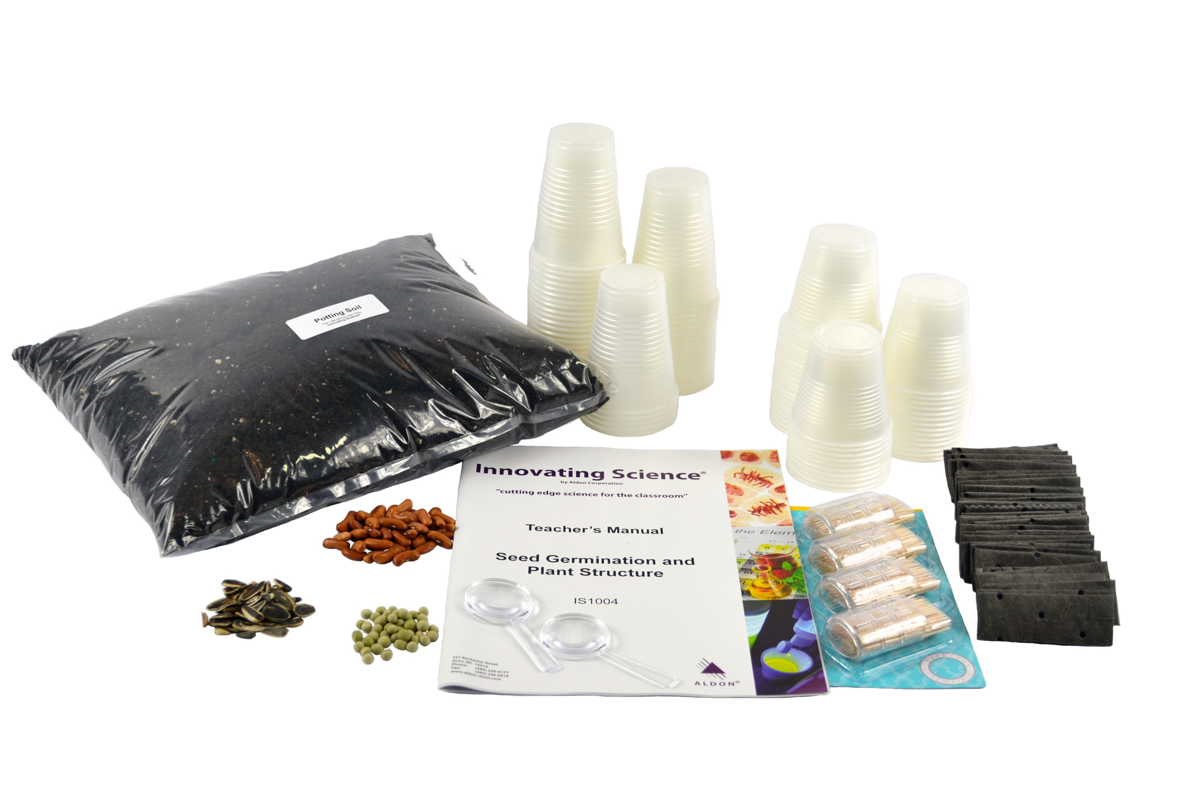 Seed Germination And Plant Structure