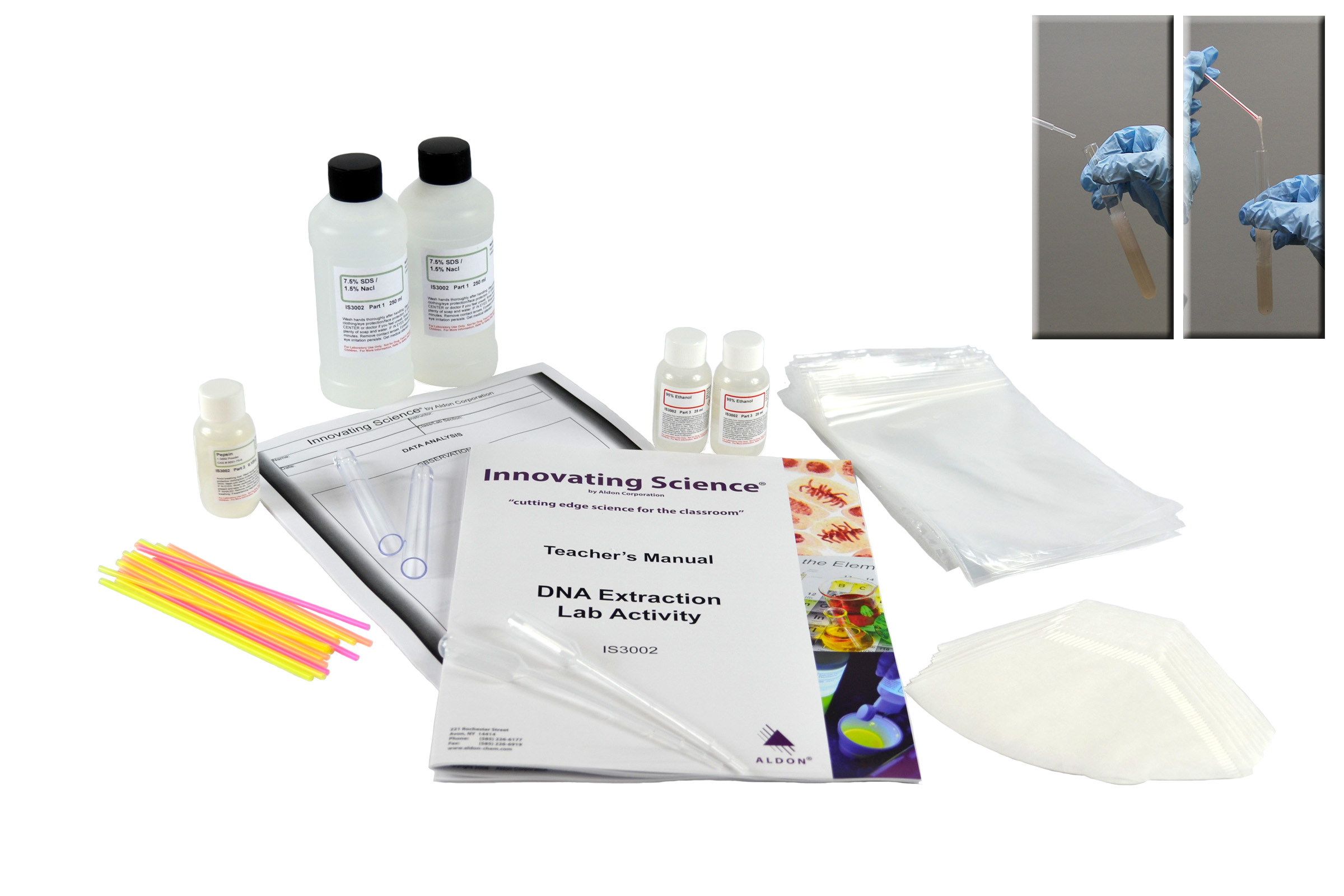 Dna Extraction Lab Activity