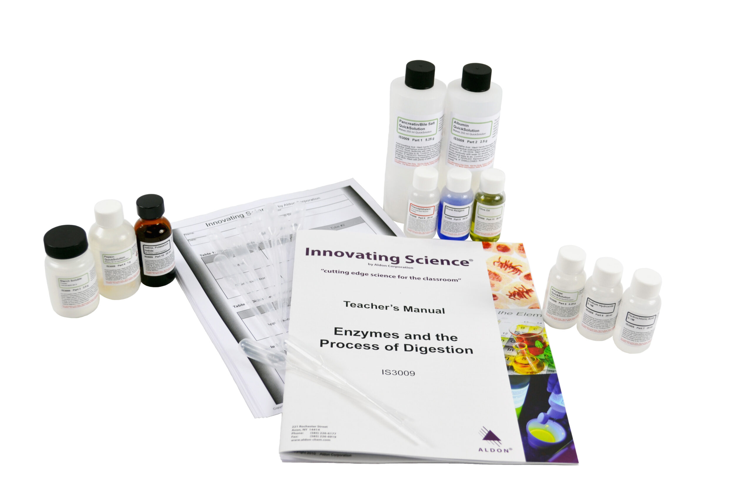 Enzymes And The Process Of Digestion