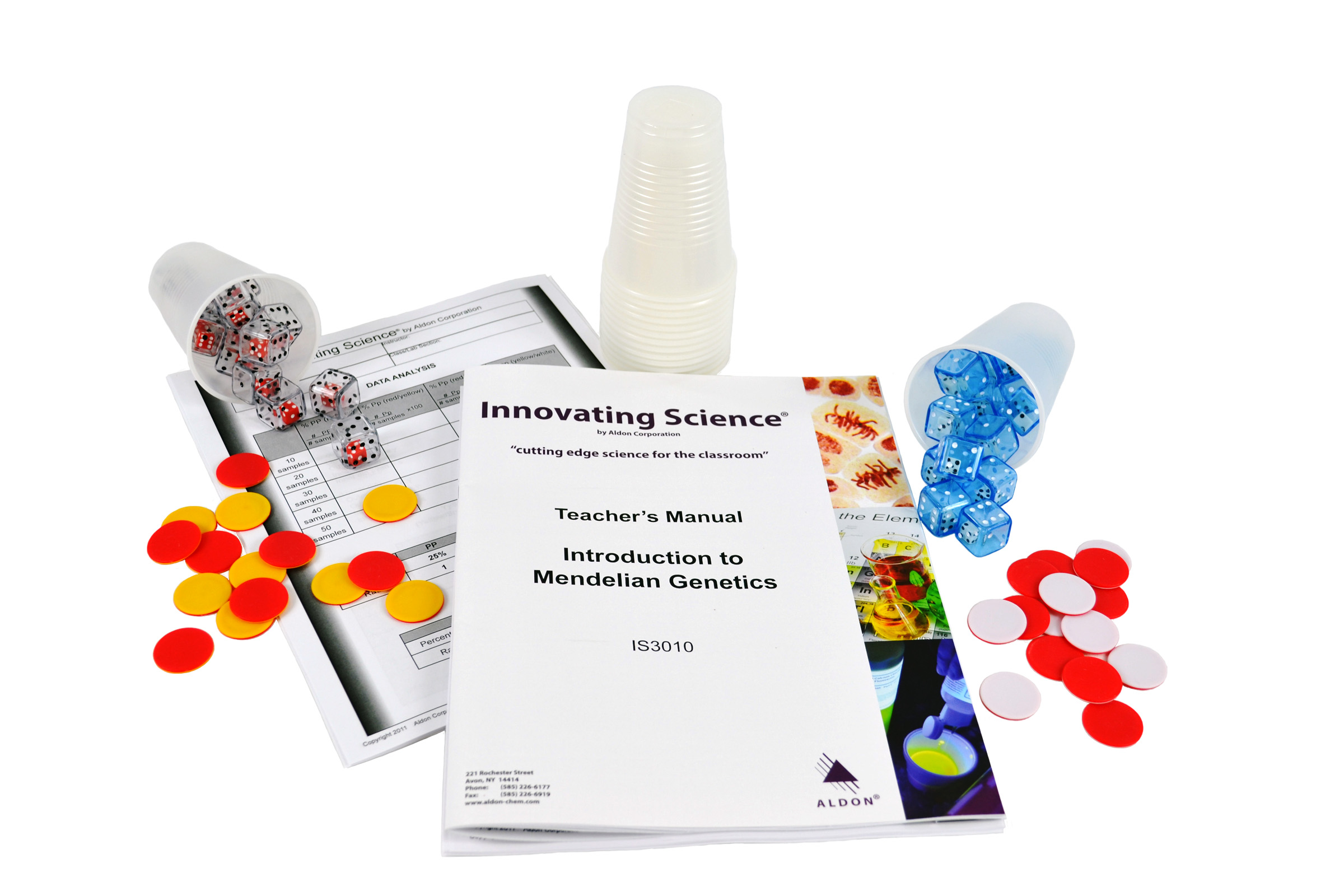 Mendelian Genetics: Genes And Probability Lab Activity
