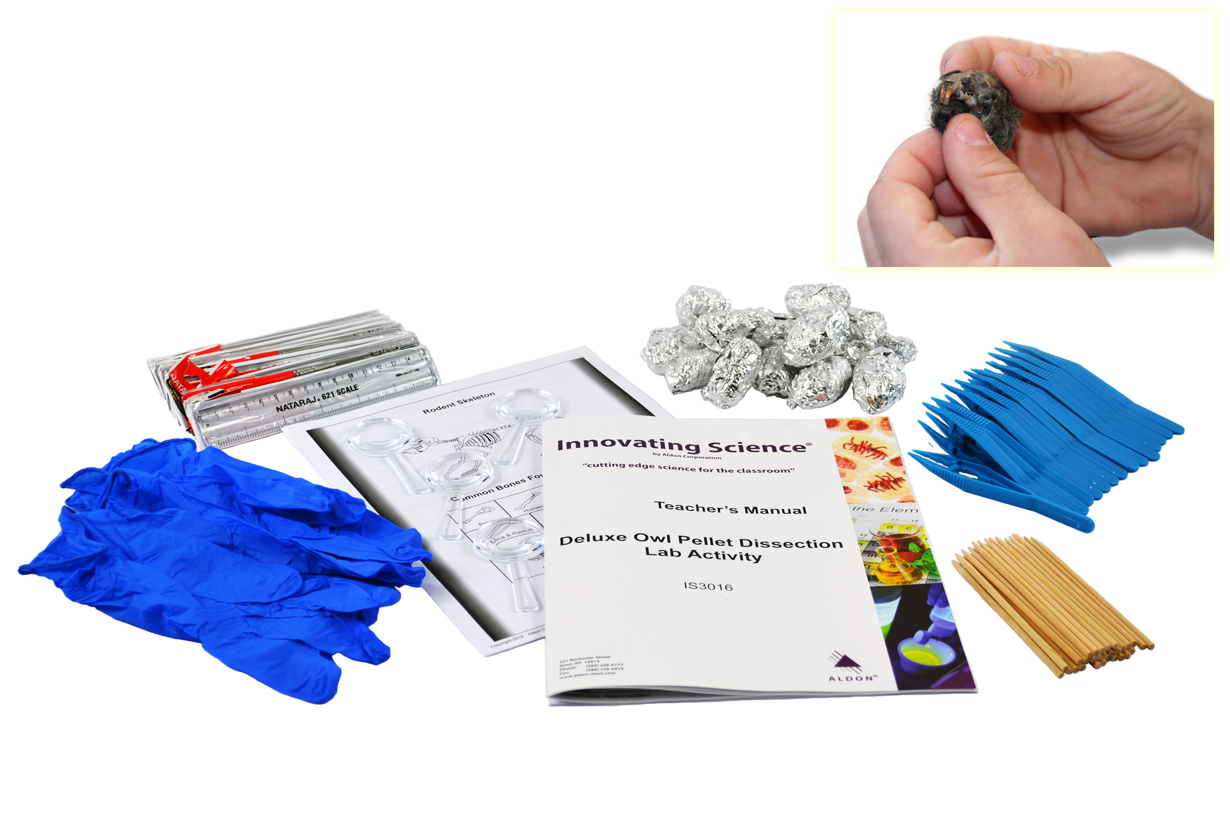 Owl Pellet Dissection Lab Activity