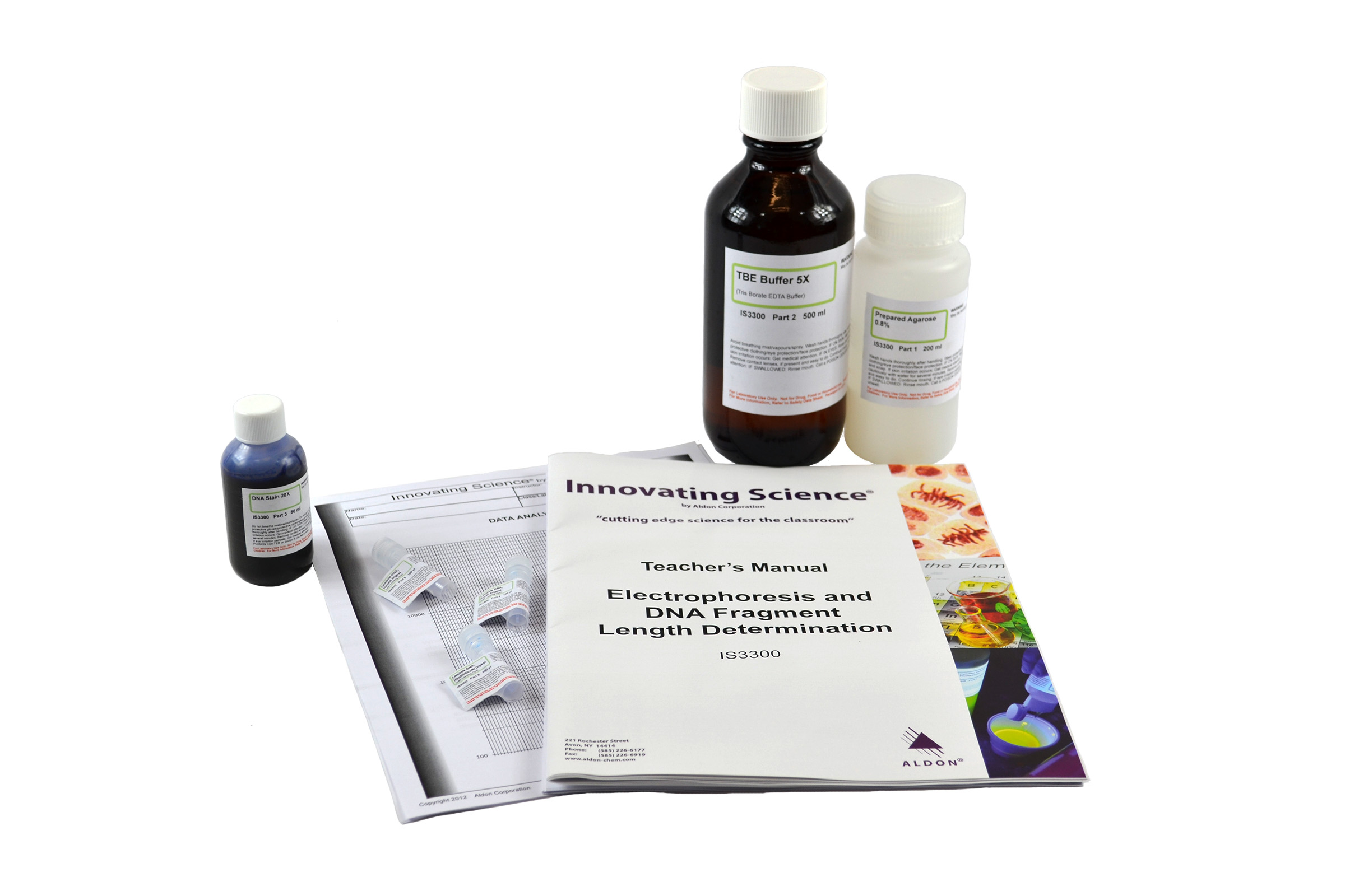 Electrophoresis And Dna Fragment Length Determination