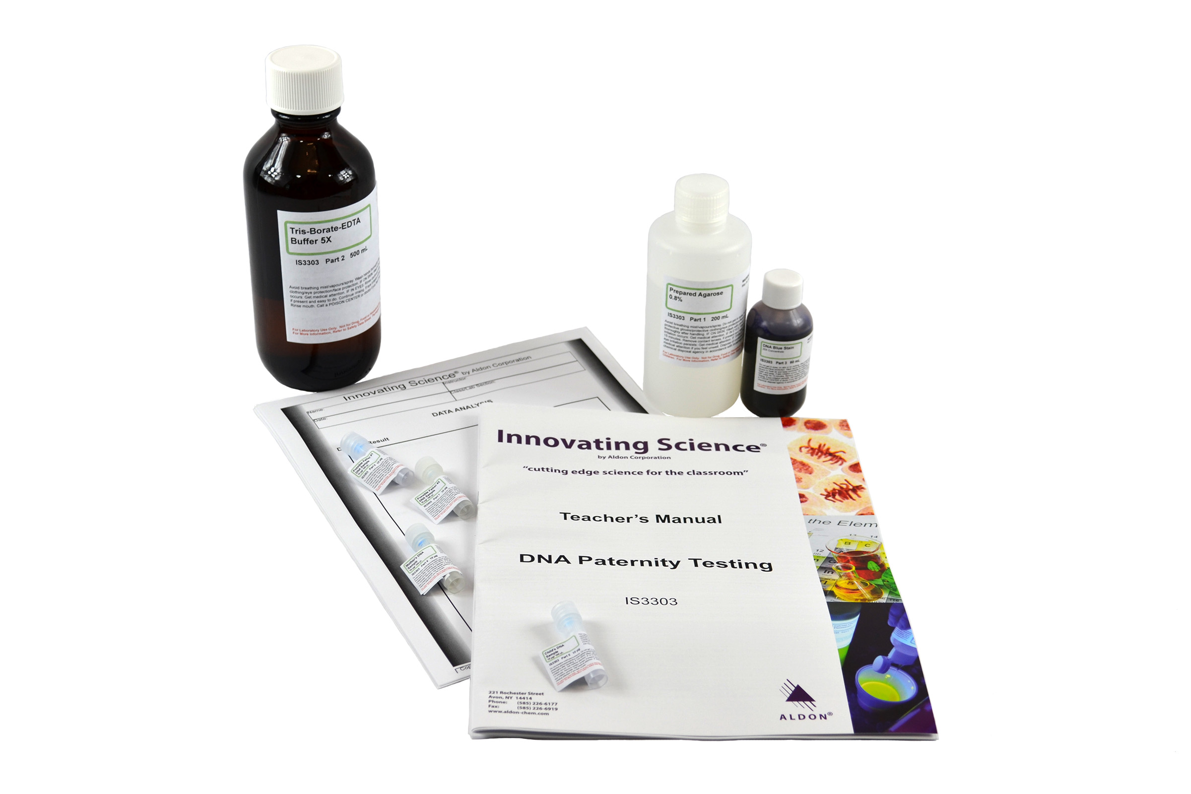 Dna Paternity Testing Electro- Phoresis Lab Activity