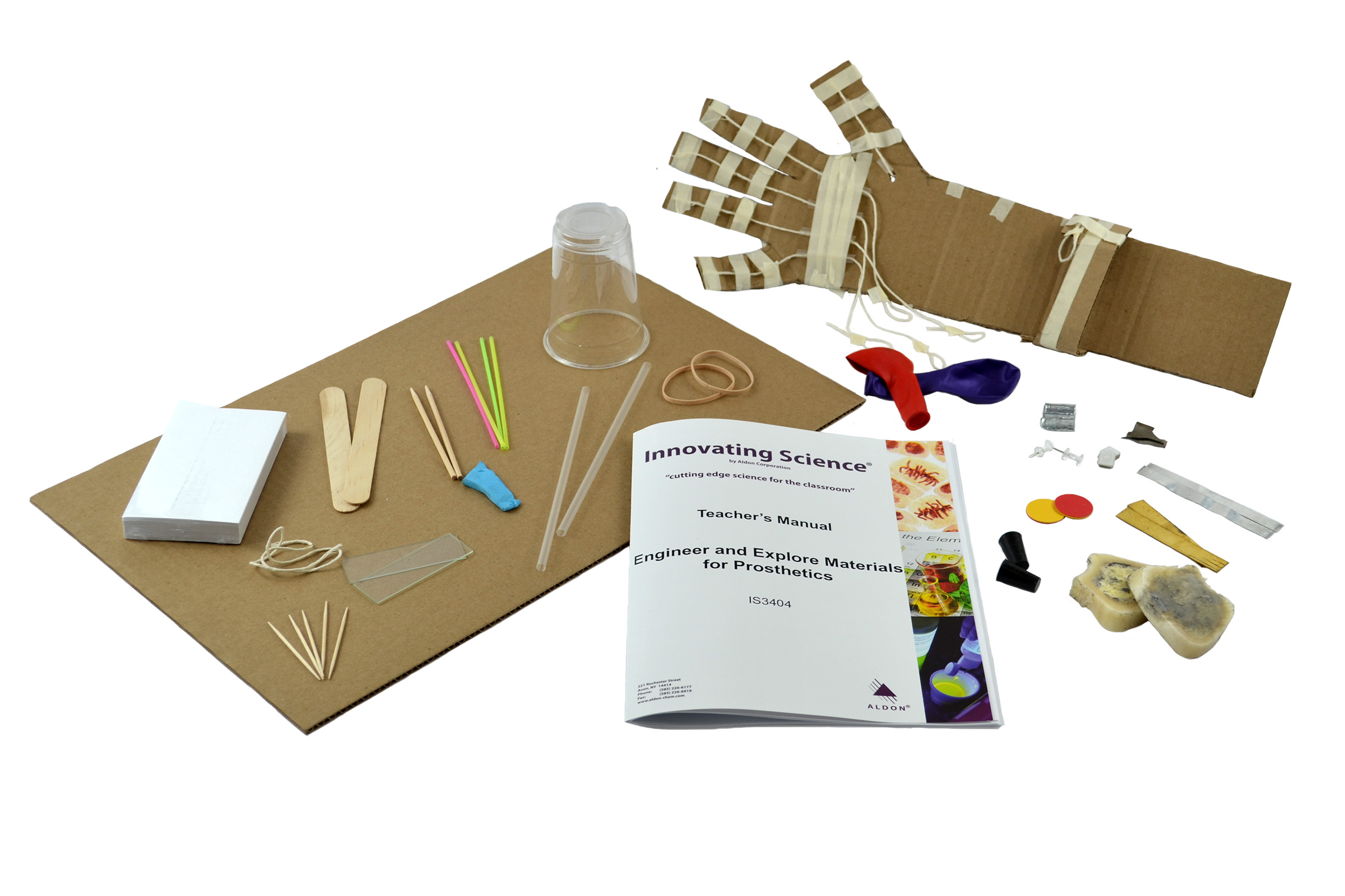 Engineer And Explore Materials For Prosthetics