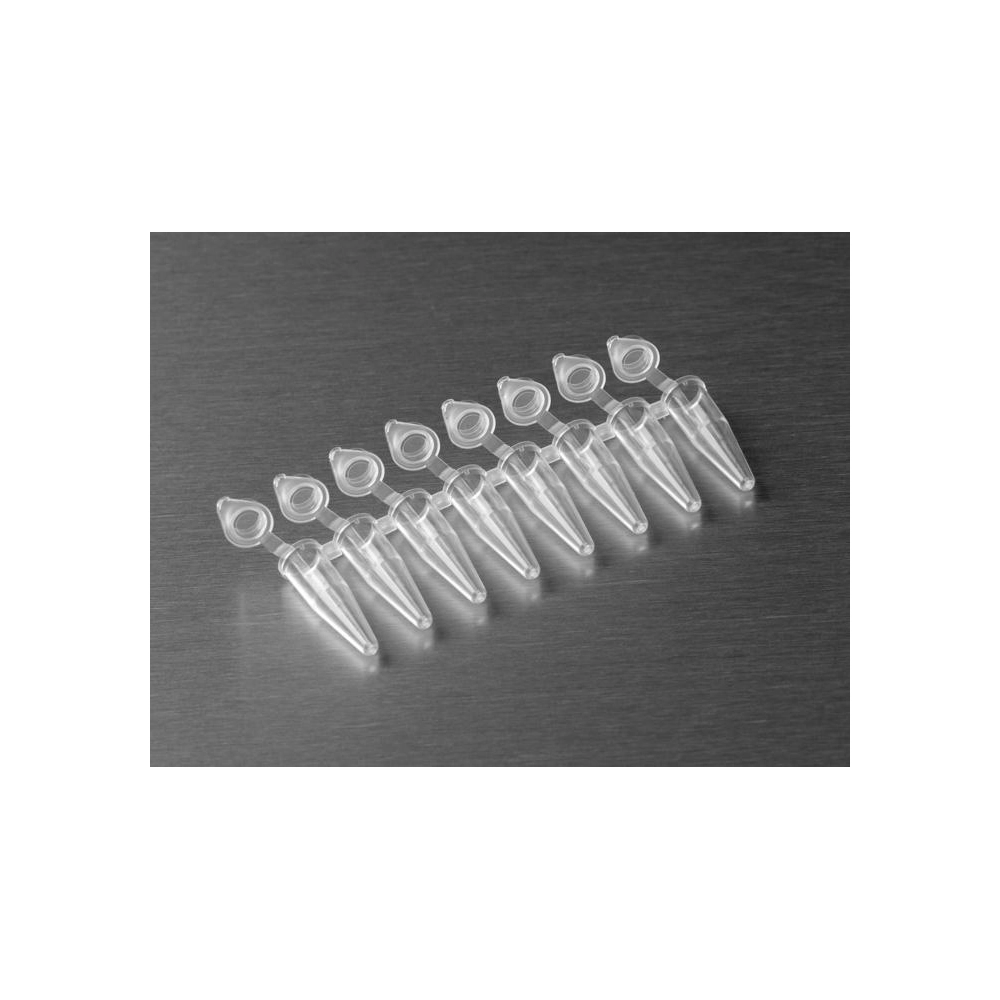 Axygen 0.2mL Polypropylene PCR Tube Strips with Attached Dome Caps, 8 Tube Strips and Caps, Clear Nonsterile,