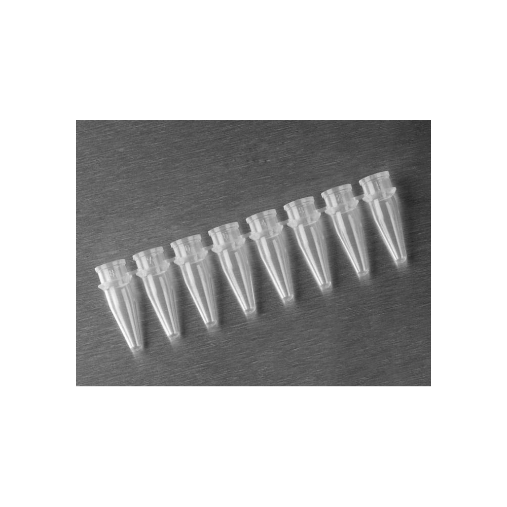 Axygen 0.2mL Polypropylene PCR Tube Strips, 8 Tubes/Strip, Clear, Nonsterile