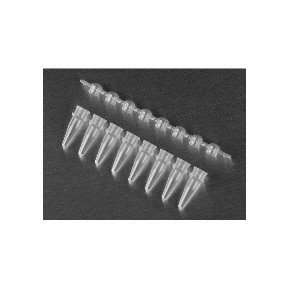 Axygen 0.2mL Polypropylene PCR Tube Strips and Domed Cap Strips, 8 Tubes/Strip, 8 Domed Caps/Strip, Clear, Nonsterile