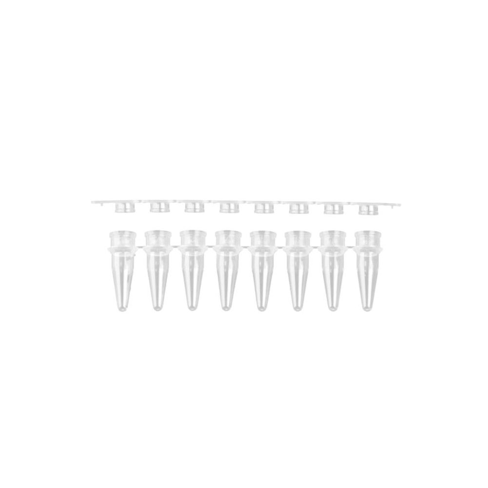 Axygen 0.2mL Polypropylene PCR Tube Strips and Flat Cap Strips, 8 Tubes/Strip, 8 Flat Caps/Strip, Clear, Nonsterile