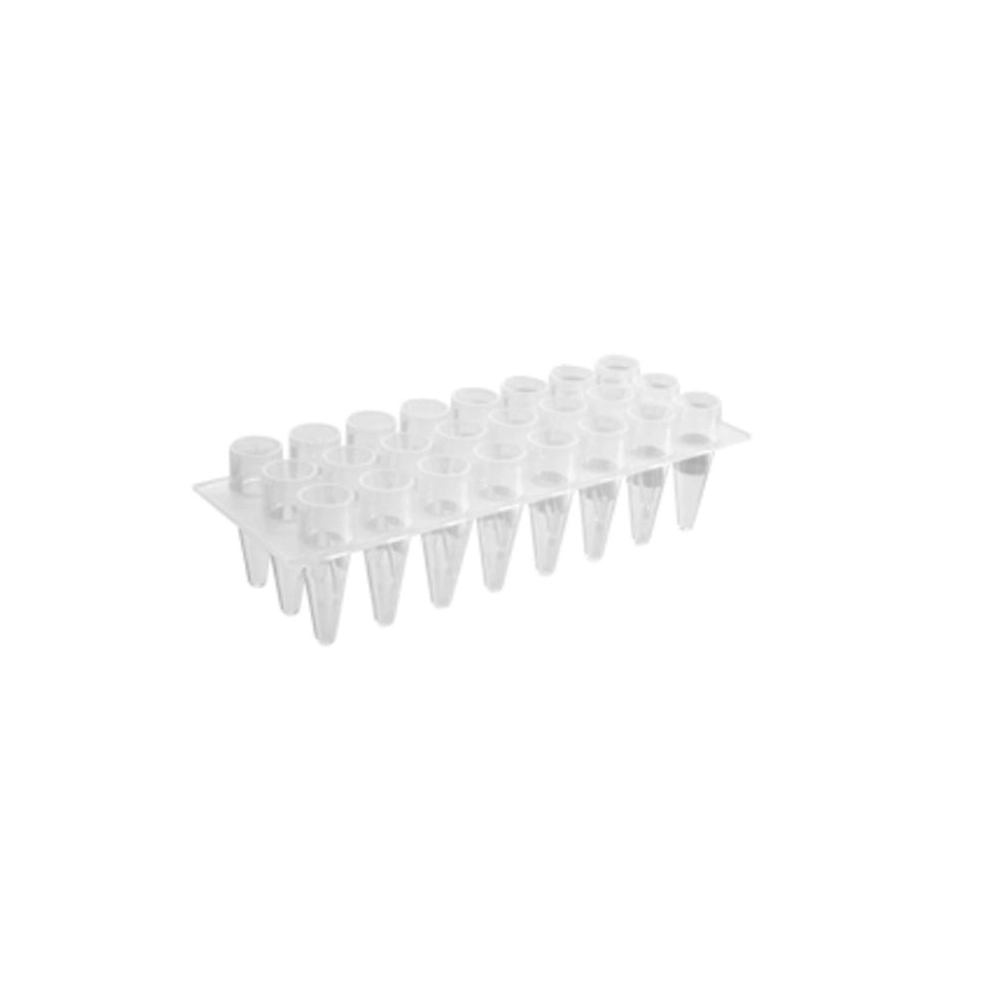 Axygen 24 Well Polypropylene PCR Microplate, Clear, Nonsterile