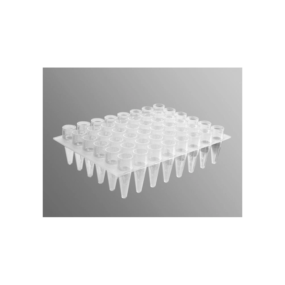Axygen 48 Well Polypropylene PCR Microplate, Clear, Nonsterile