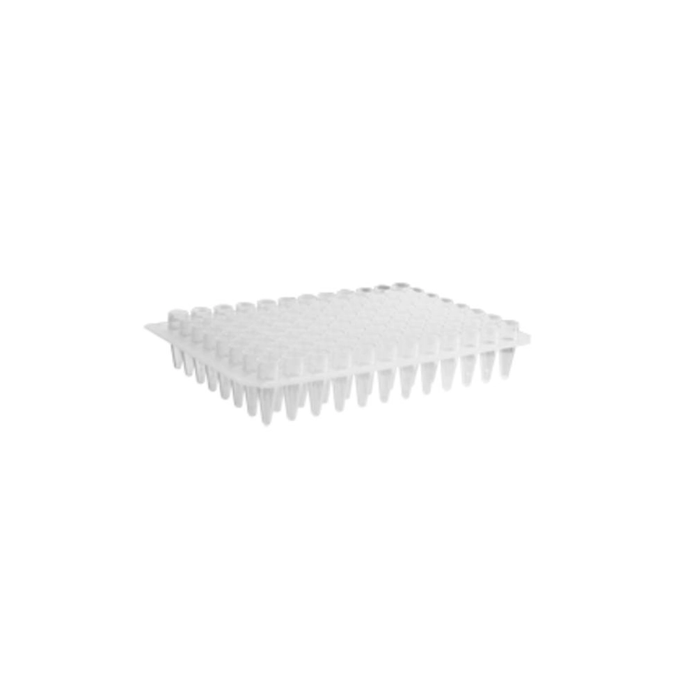 Axygen 96 Well Polypropylene PCR Microplate, No Skirt, Clear, Nonsterile