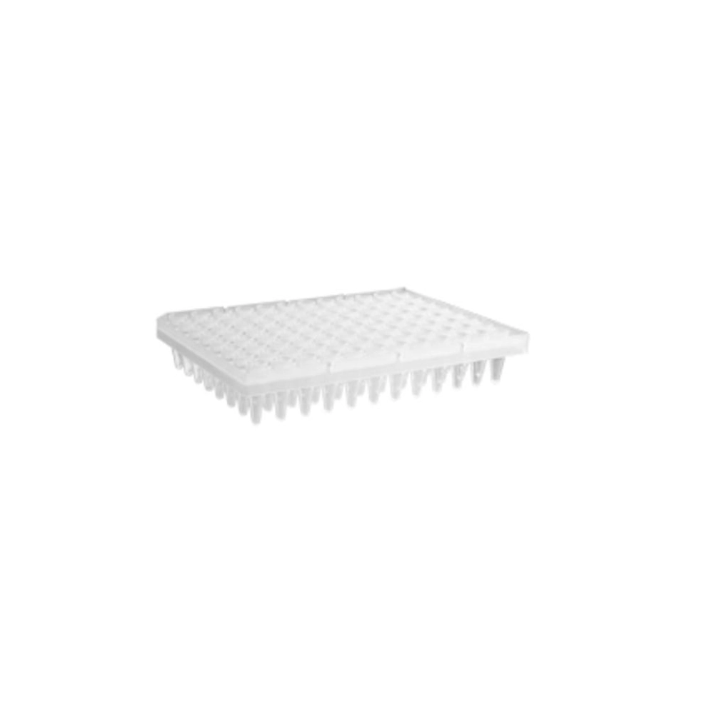 Axygen 96 Well Polypropylene Segmented PCR Microplate, Clear, Nonsterile