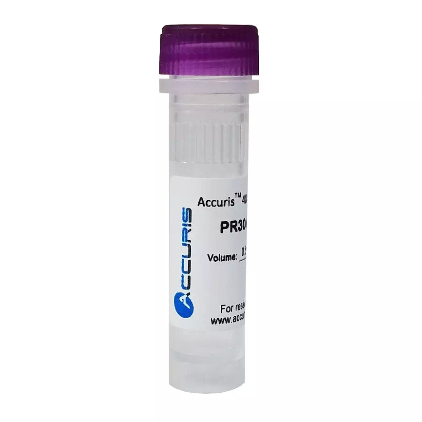 40mM dNTP Mix - (10mM/20µmol each) 0.5ml