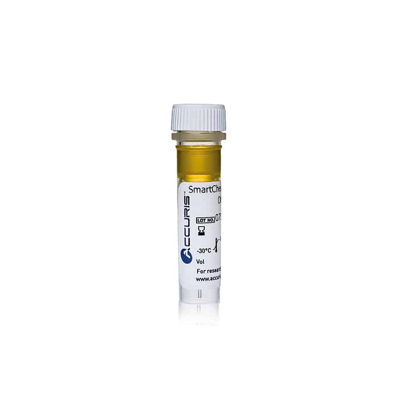 SmartCheck™ DNA Ladder - 50bp DNA Ladder 500ul / 100 lanes