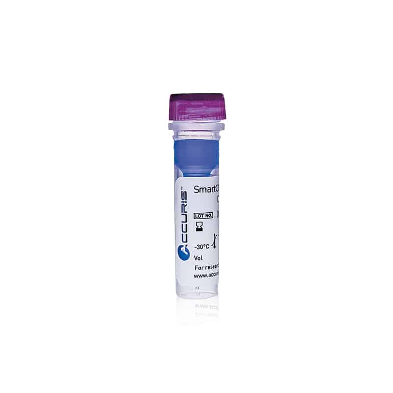 SmartCheck™ DNA Ladder - 100bp DNA Ladder 500ul / 100 lanes